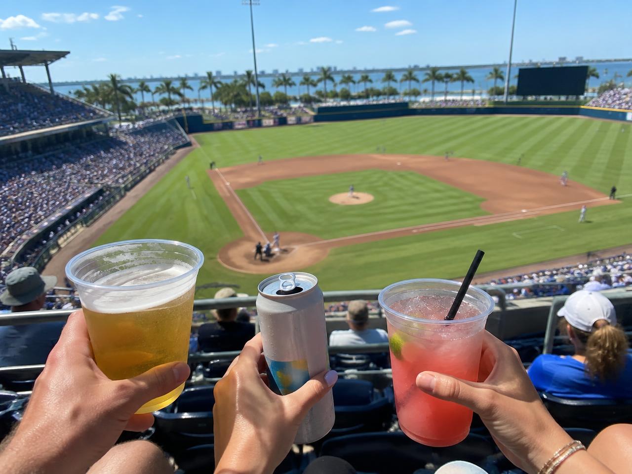 Drinks raised over a sunny day game